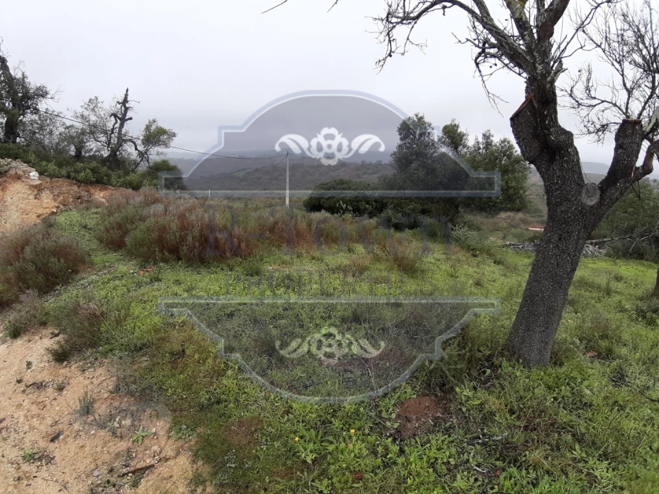 Terreno para Venda em Loule (São Sebastião) Foto 13