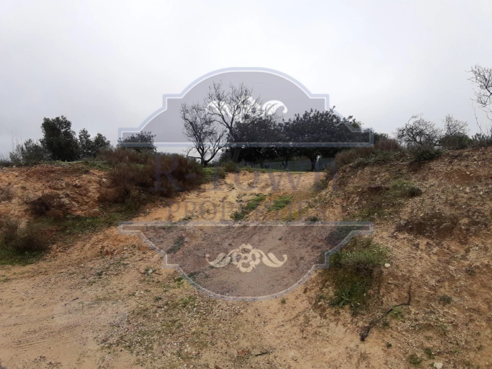 Terreno para Venda em Loule (São Sebastião) Foto 8