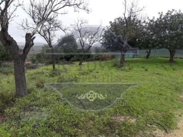 Terreno para Venda em Loule (São Sebastião)