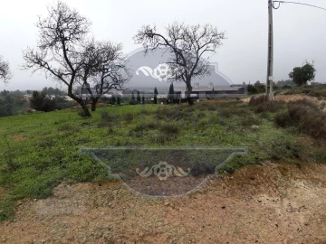 Terreno para Venda em Loule (São Sebastião)