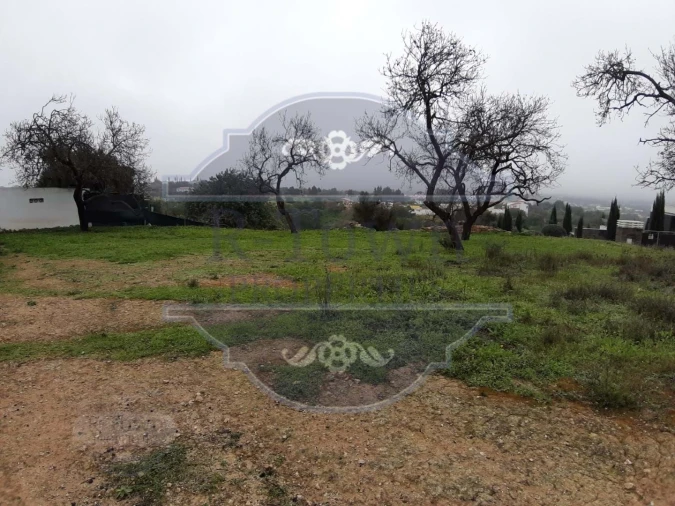 Terreno para Venda em Loule (São Sebastião) Foto 11