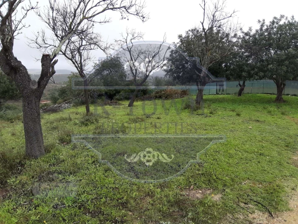 Terreno para Venda em Loule (São Sebastião) Foto 12