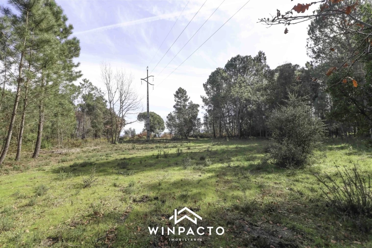 Terreno para Venda em Canas de Senhorim Foto 8