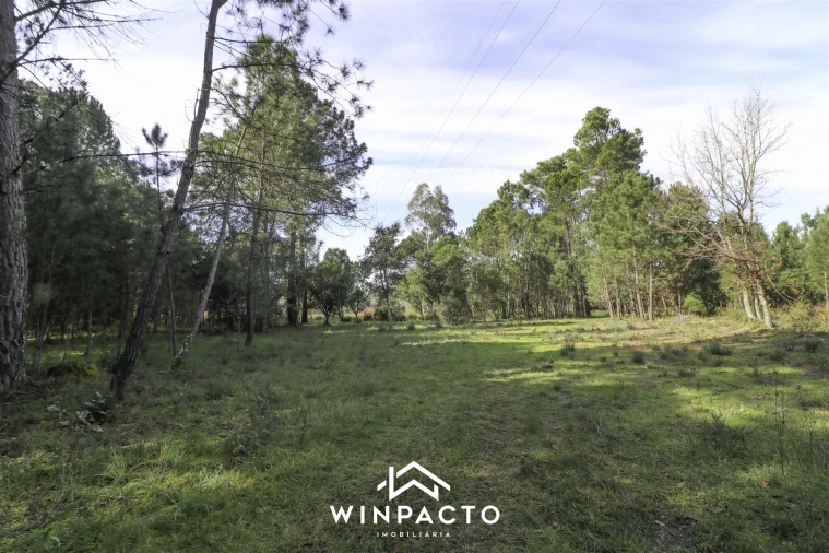 Terreno para Venda em Canas de Senhorim Foto 2