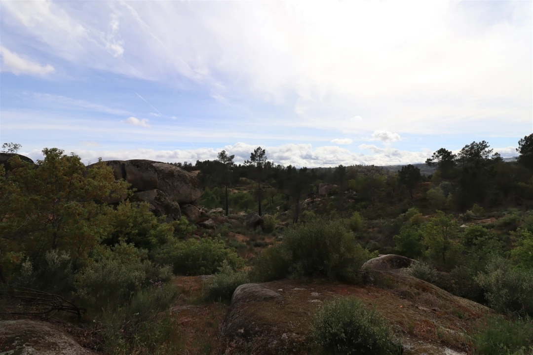 Quinta T0 para Venda em Vale de Telhas Foto 25