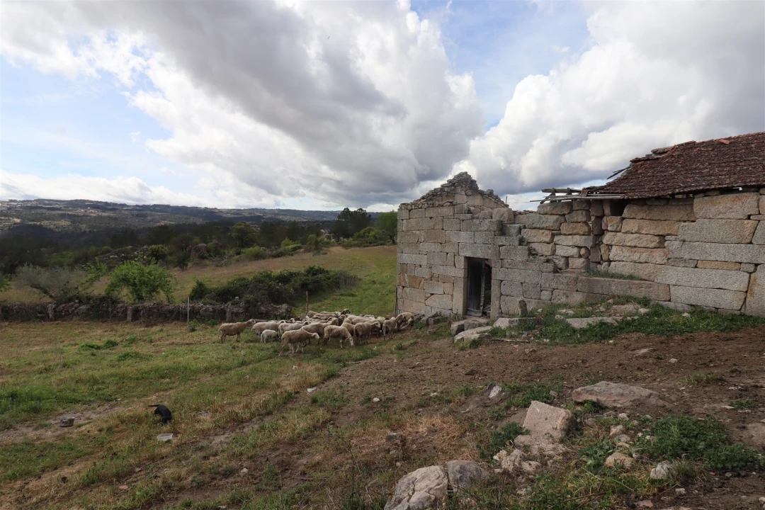 Quinta T0 para Venda em Vale de Telhas Foto 9