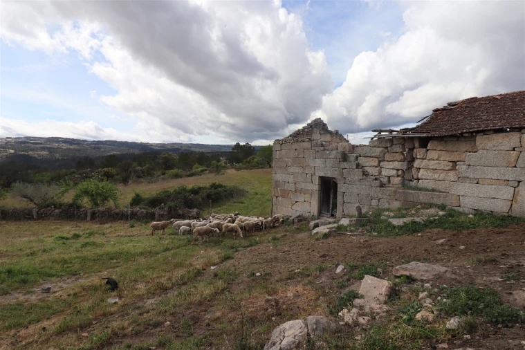 Quinta T0 para Venda em Vale de Telhas Foto 9