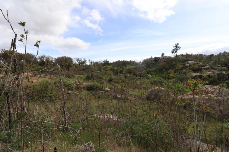 Quinta T0 para Venda em Vale de Telhas Foto 18