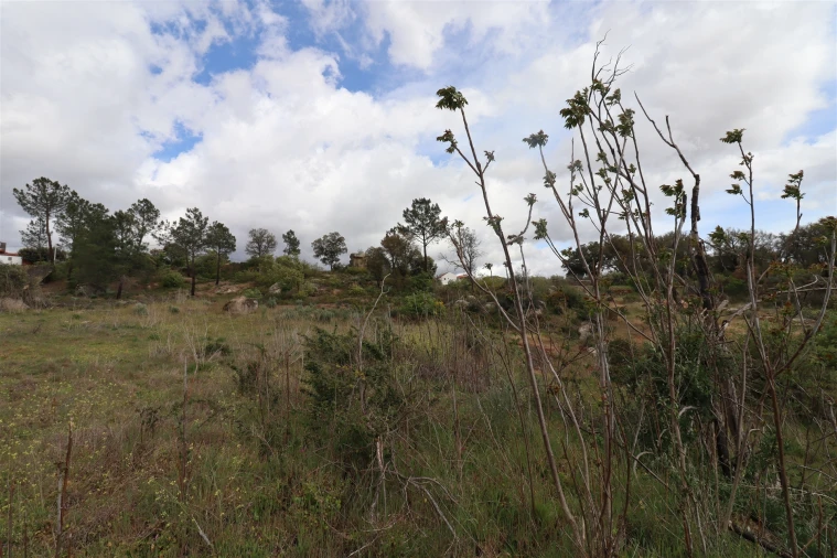 Quinta T0 para Venda em Vale de Telhas Foto 20