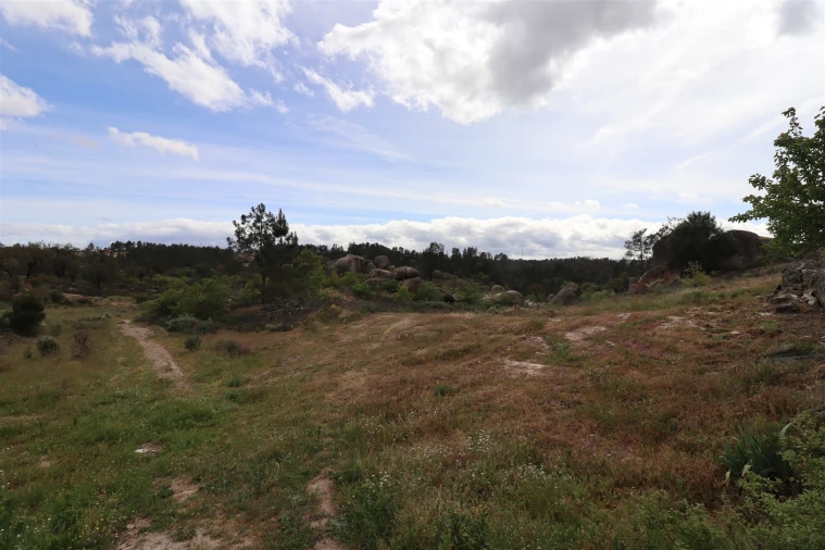 Quinta T0 para Venda em Vale de Telhas Foto 13