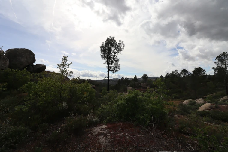 Quinta T0 para Venda em Vale de Telhas Foto 23