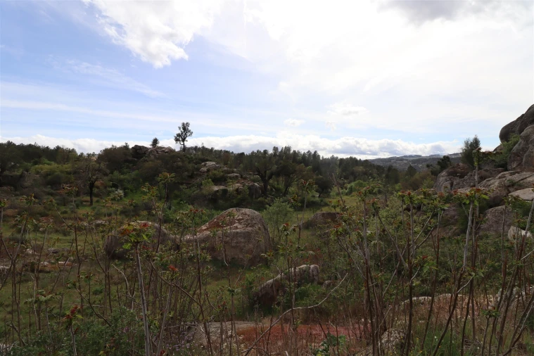 Quinta T0 para Venda em Vale de Telhas Foto 17