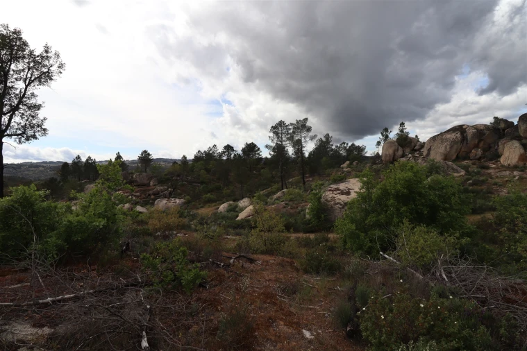 Quinta T0 para Venda em Vale de Telhas Foto 22