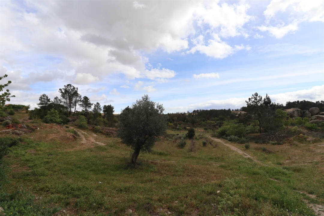 Quinta T0 para Venda em Vale de Telhas Foto 11