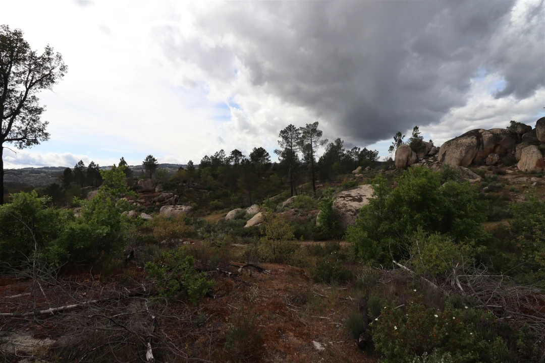 Quinta T0 para Venda em Vale de Telhas Foto 22