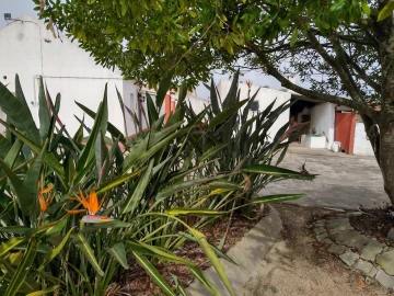 Moradia T6 para Venda em Coruche, Fajarda e Erra
