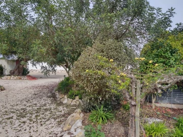 Moradia T6 para Venda em Coruche, Fajarda e Erra