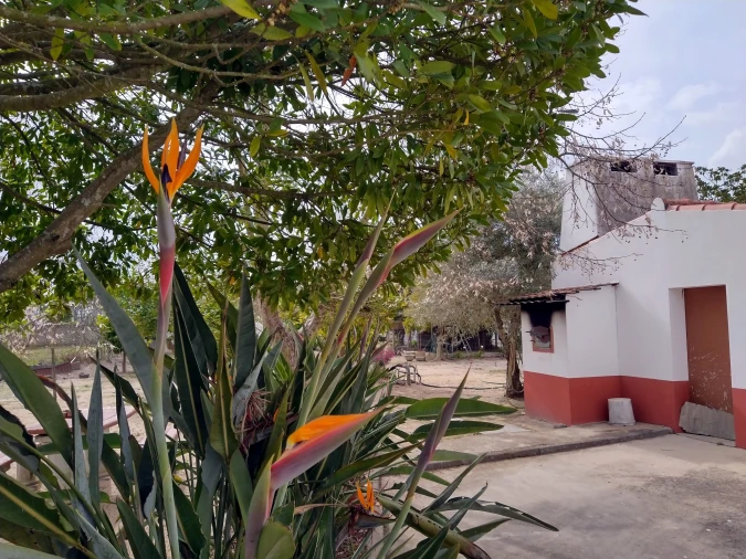 Moradia T6 para Venda em Coruche, Fajarda e Erra Foto 16