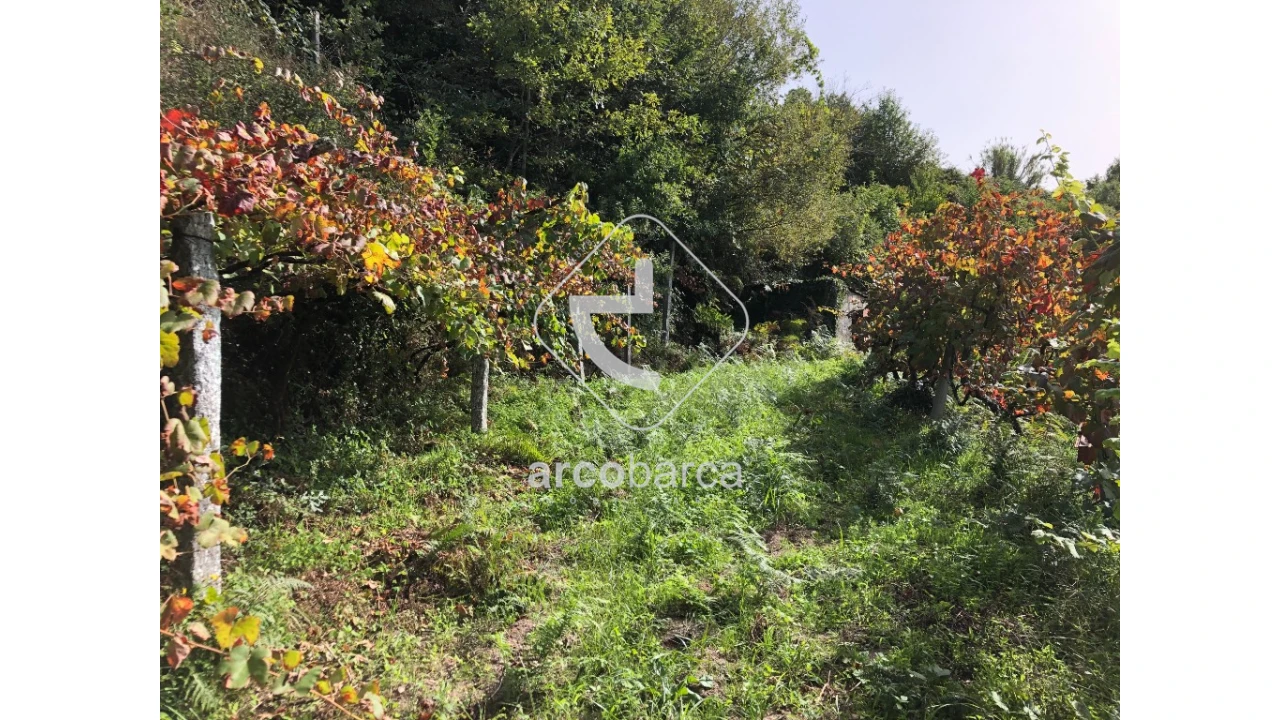 Terreno para Venda em Cabreiro Foto 9