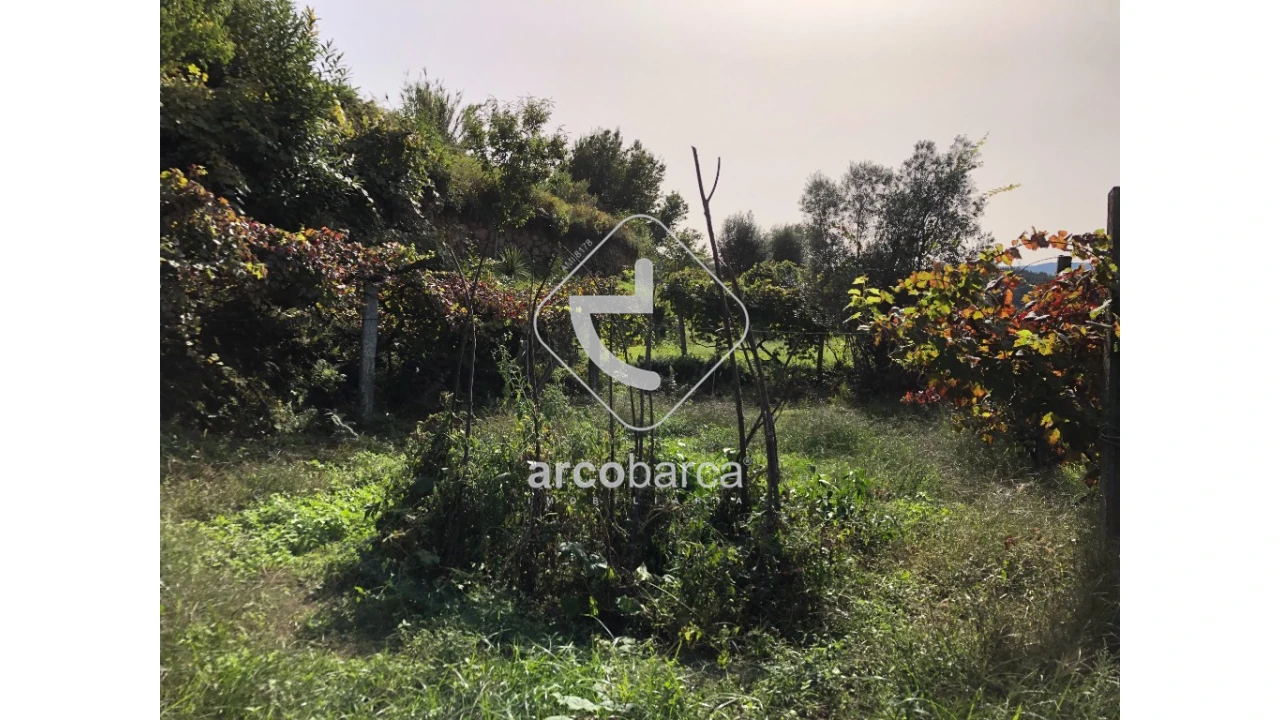 Terreno para Venda em Cabreiro Foto 8