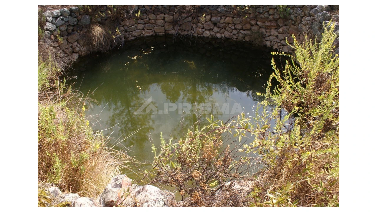 Terreno para Venda em Santana Foto 12