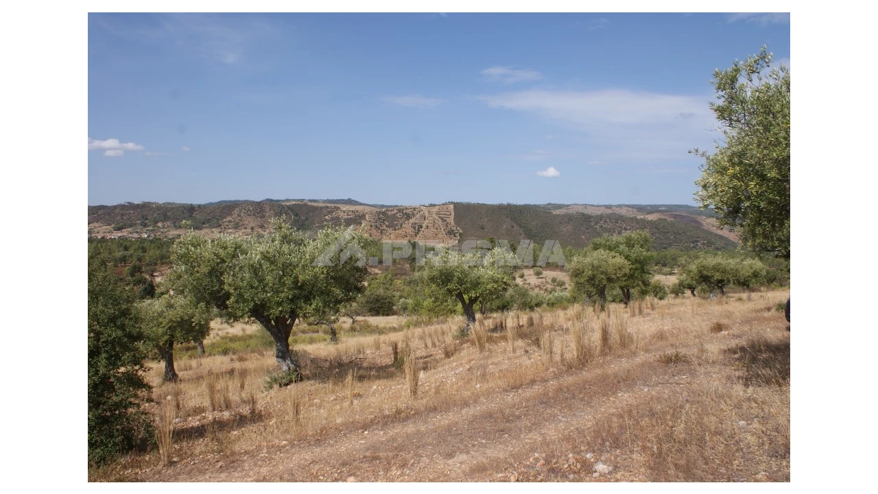 Terreno para Venda em Santana Foto 9