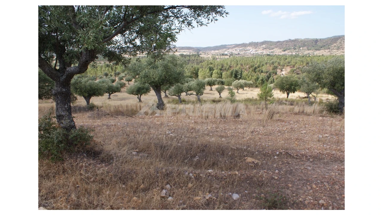 Terreno para Venda em Santana Foto 1
