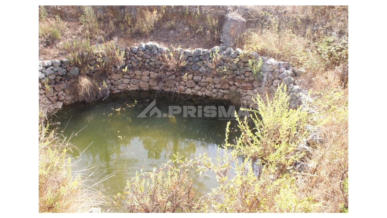 Terreno para Venda em Santana Foto 13