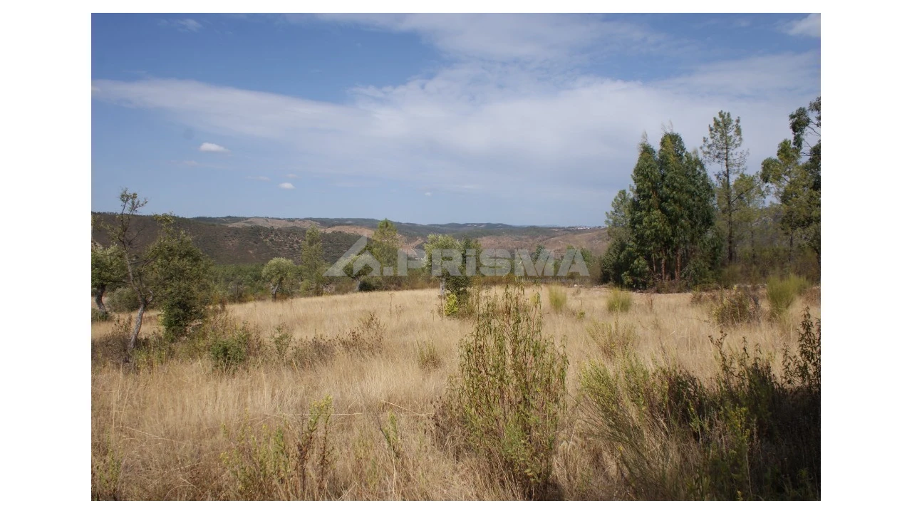Terreno para Venda em Santana Foto 14