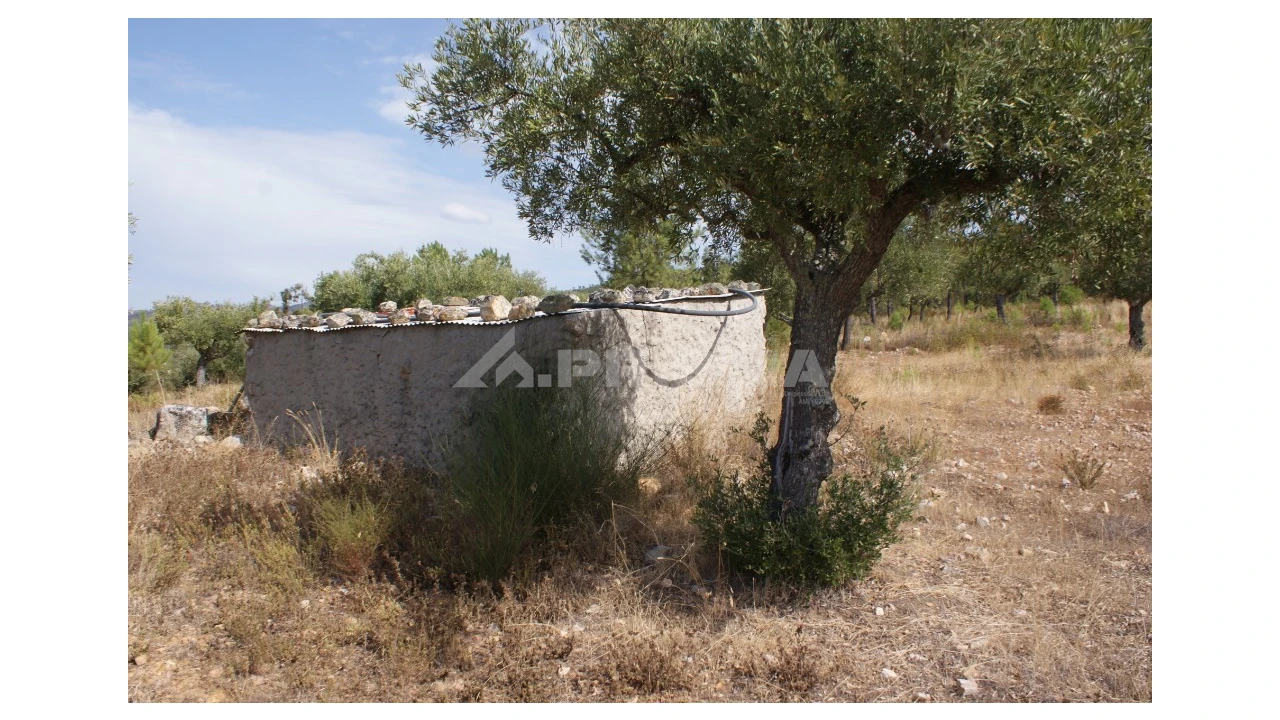 Terreno para Venda em Santana Foto 8