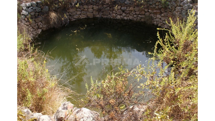 Terreno para Venda em Santana Foto 12