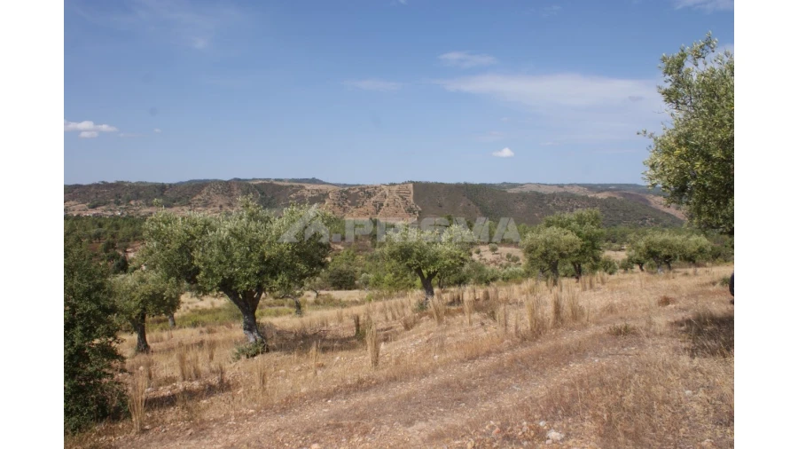 Terreno para Venda em Santana Foto 9