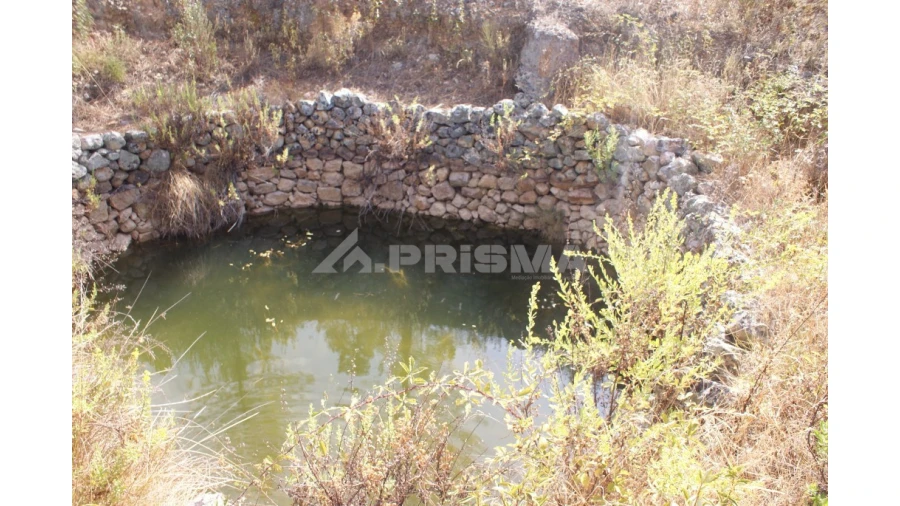 Terreno para Venda em Santana Foto 13