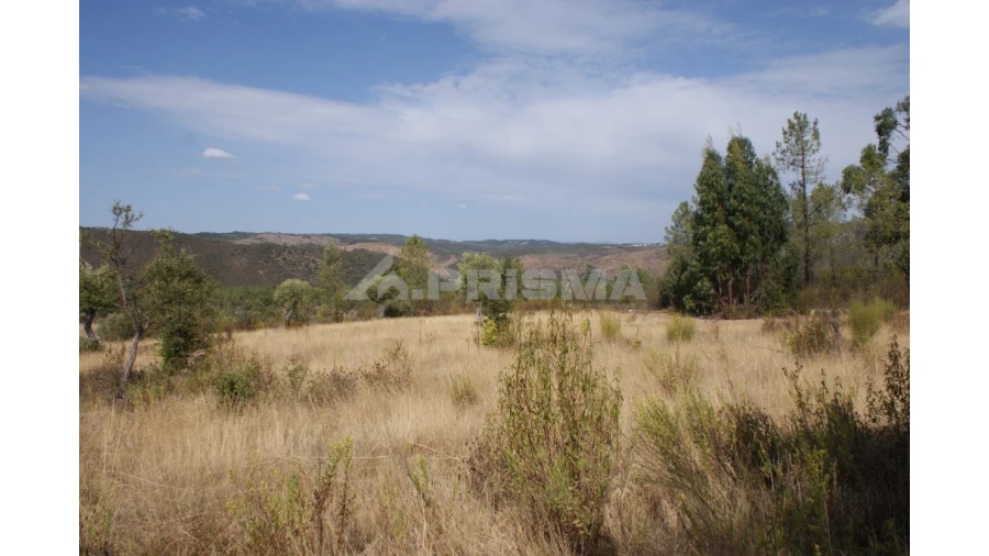 Terreno para Venda em Santana Foto 14