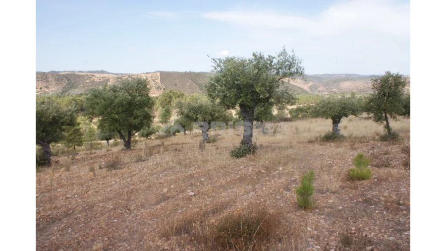 Terreno para Venda em Santana Foto 2