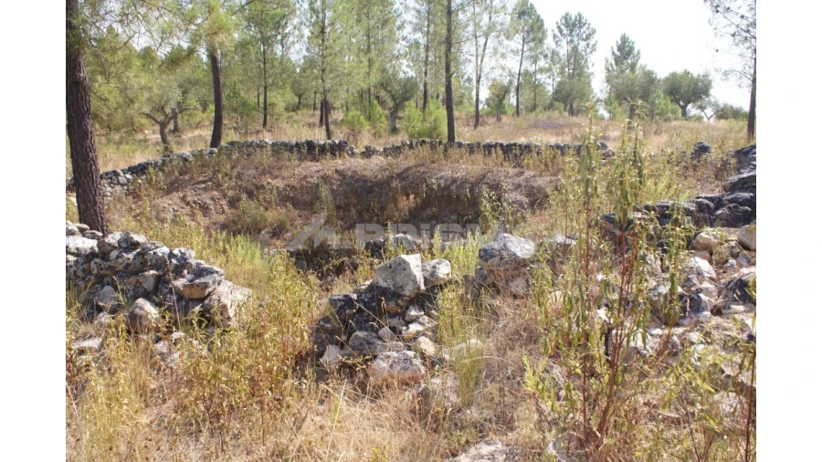 Terreno para Venda em Santana Foto 11