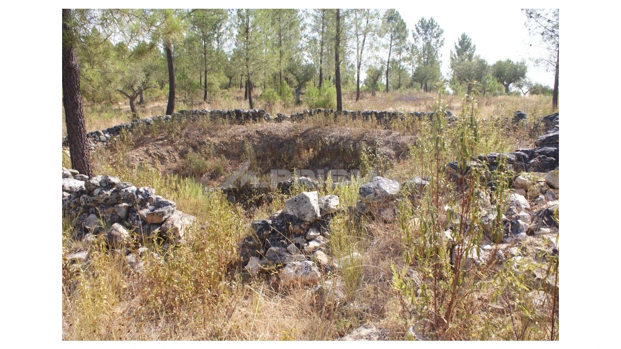 Terreno para Venda em Santana Foto 11