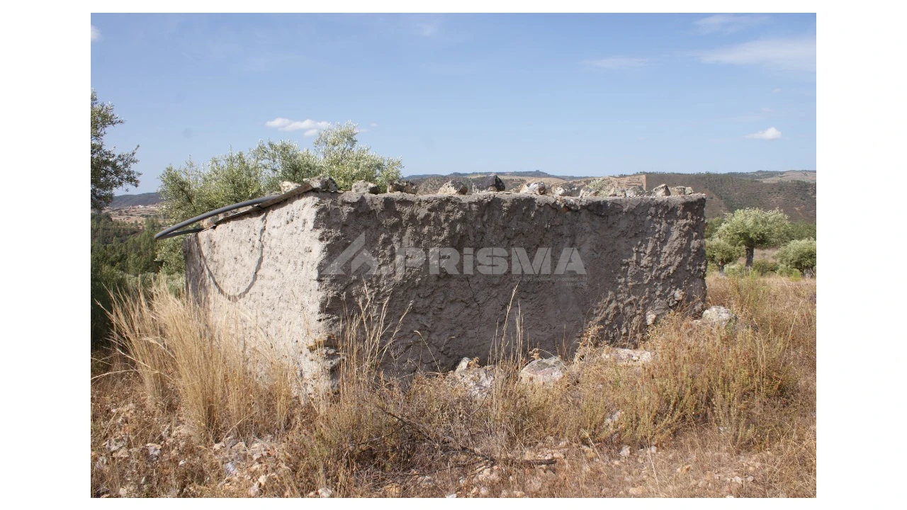 Terreno para Venda em Santana Foto 7