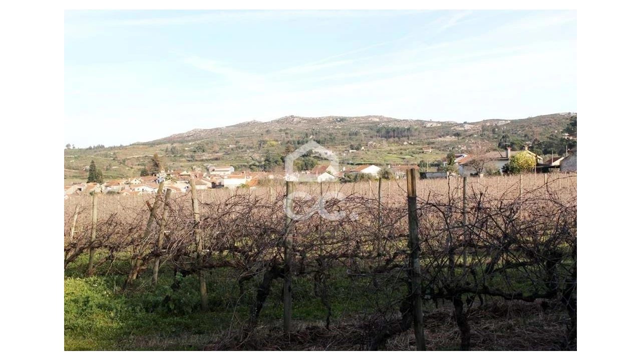 Quinta T6 para Venda em Fornos de Maceira Dão Foto 15