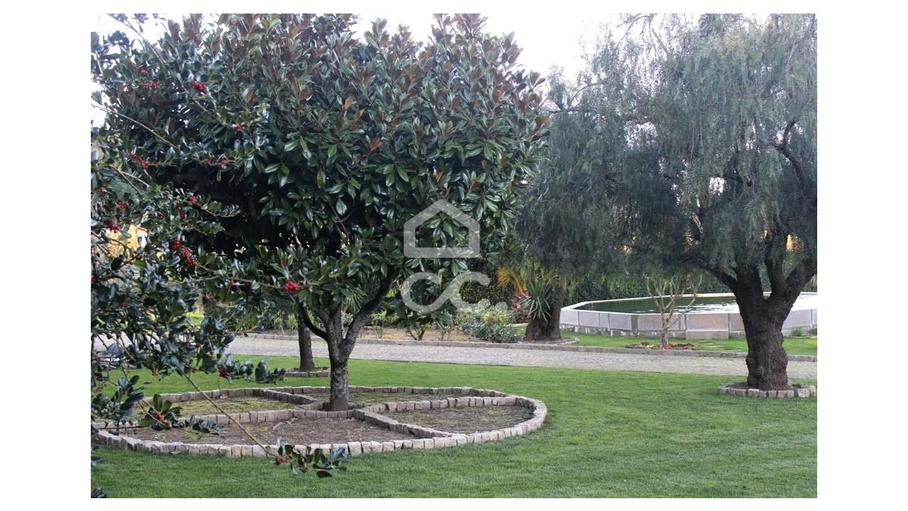 Quinta T6 para Venda em Fornos de Maceira Dão Foto 10