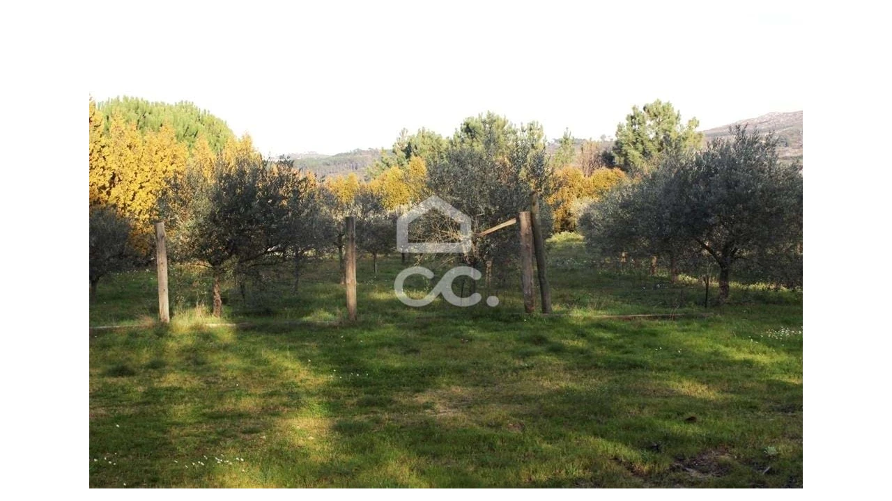 Quinta T6 para Venda em Fornos de Maceira Dão Foto 12