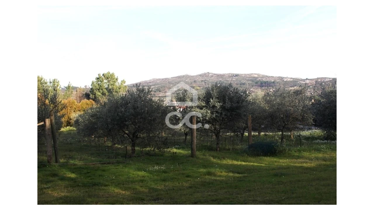 Quinta T6 para Venda em Fornos de Maceira Dão Foto 13