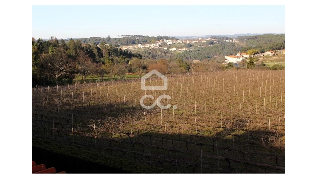 Quinta T6 para Venda em Fornos de Maceira Dão Foto 27