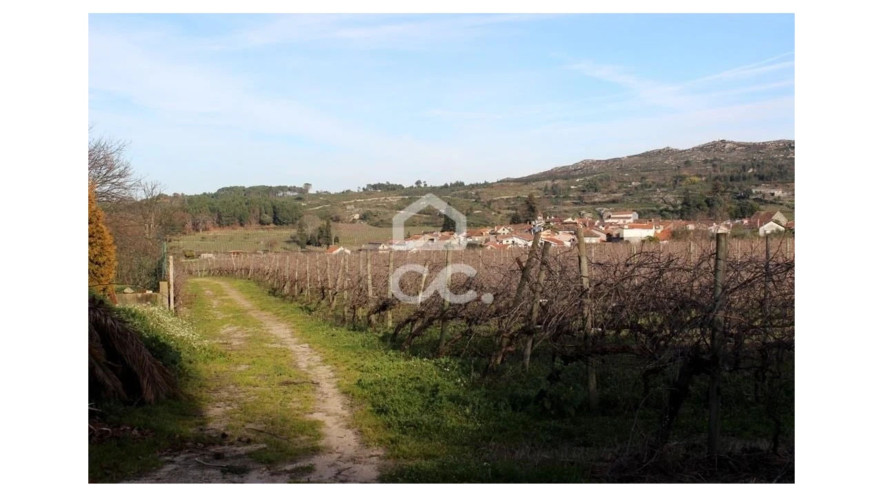 Quinta T6 para Venda em Fornos de Maceira Dão Foto 16
