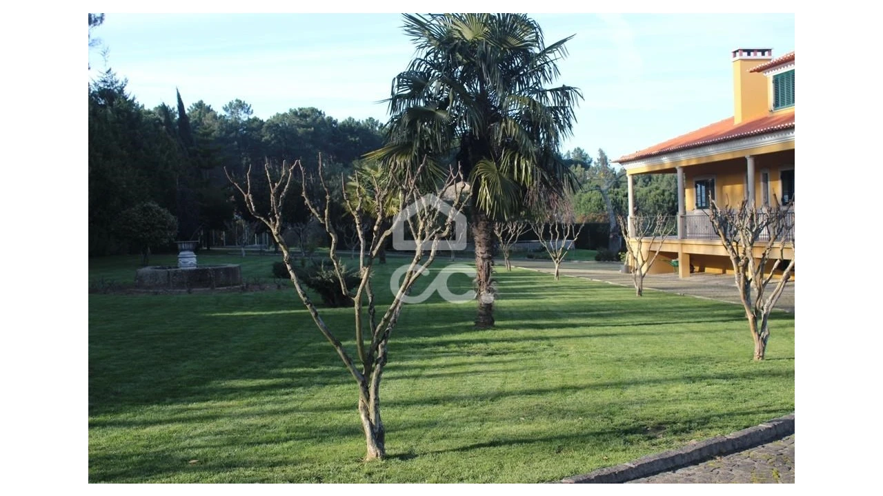 Quinta T6 para Venda em Fornos de Maceira Dão Foto 6