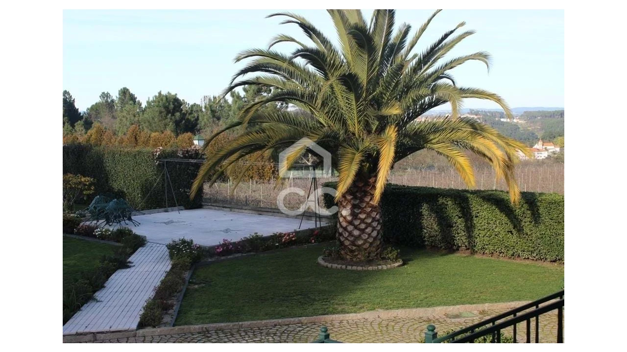 Quinta T6 para Venda em Fornos de Maceira Dão Foto 9