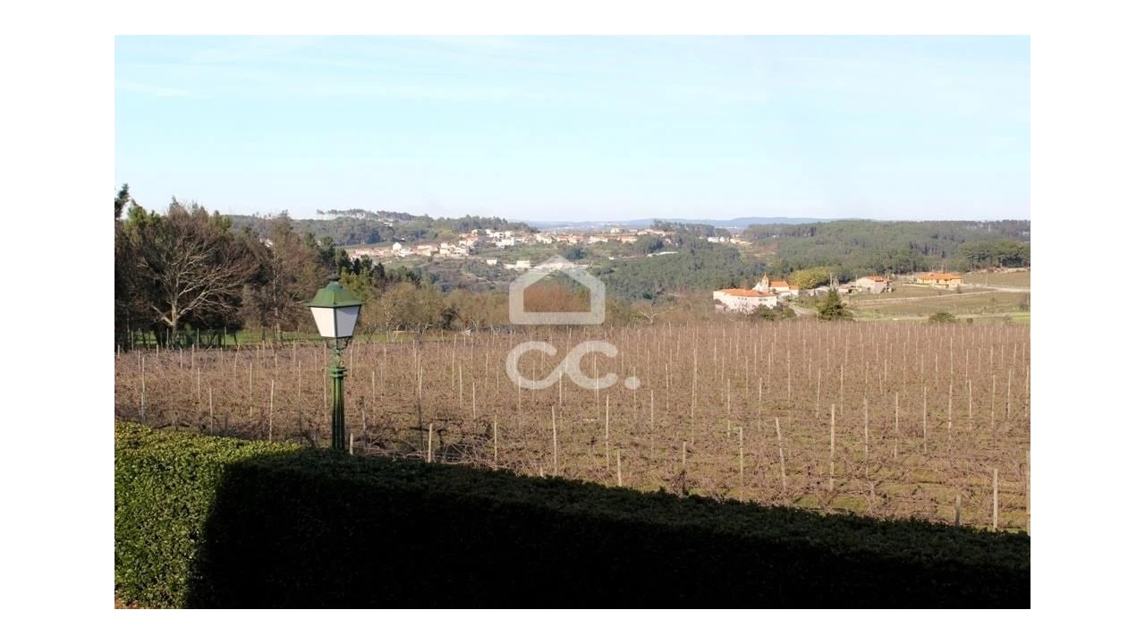 Quinta T6 para Venda em Fornos de Maceira Dão Foto 23