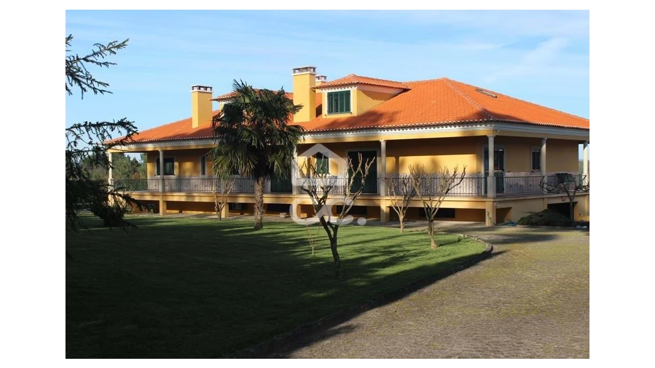 Quinta T6 para Venda em Fornos de Maceira Dão Foto 3