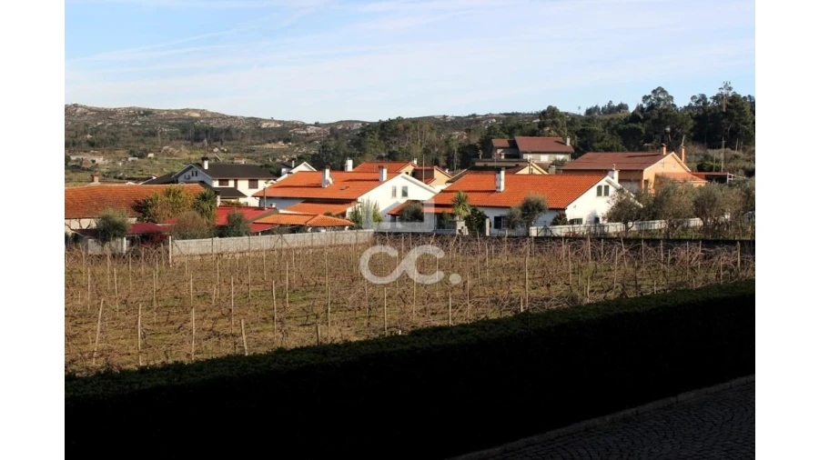 Quinta T6 para Venda em Fornos de Maceira Dão Foto 25