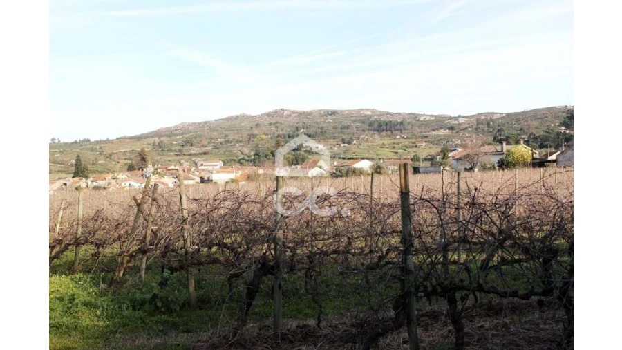 Quinta T6 para Venda em Fornos de Maceira Dão Foto 15